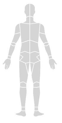 Figura corporal trasera